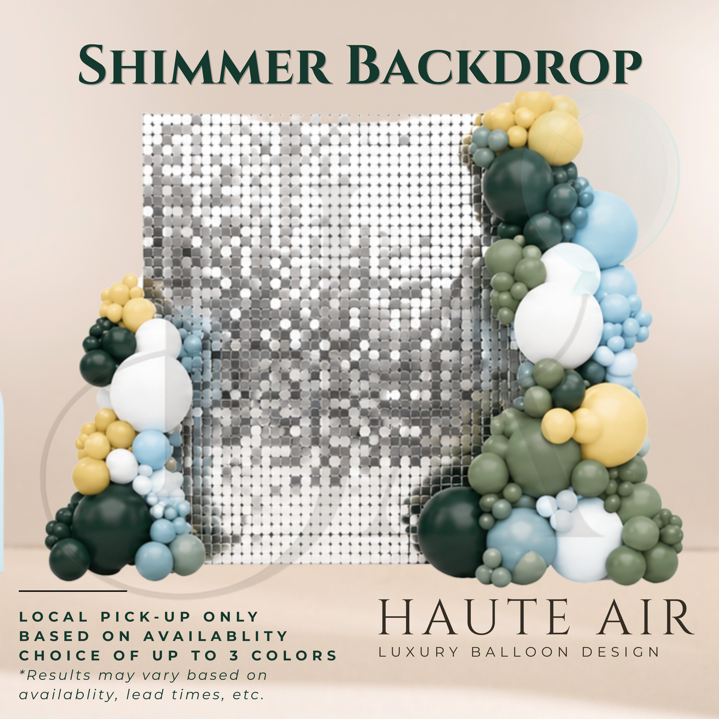 Shimmer or Fringe Backdrop (Balloons Sold Separately)